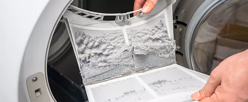 Best Dryer Lint Removal Company in Colonial Heights, Virginia