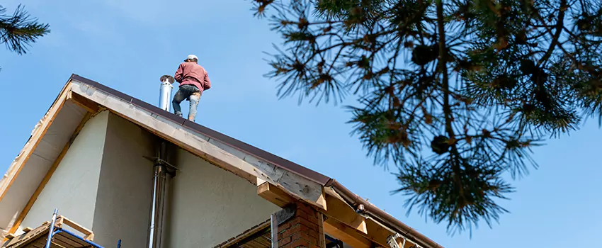 Birds Removal Contractors from Chimney in Colonial Heights, VA